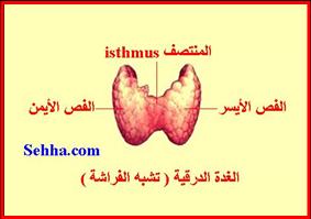 الغد درقية 20160808 1874