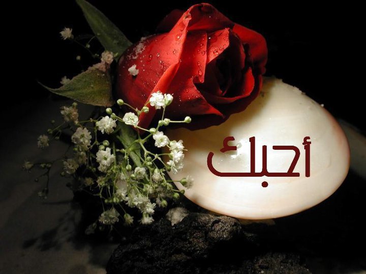 صور عشق وغرام 244010 2