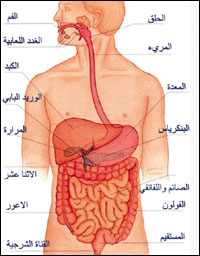 القولون والقدم , كيف يمكن علاج القولون