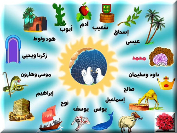 عدد الرسل