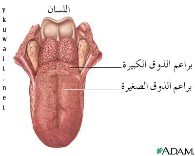 لسان الانسان لازم نعرف ازاى نتكلم - لسان الانسان 20160726 3