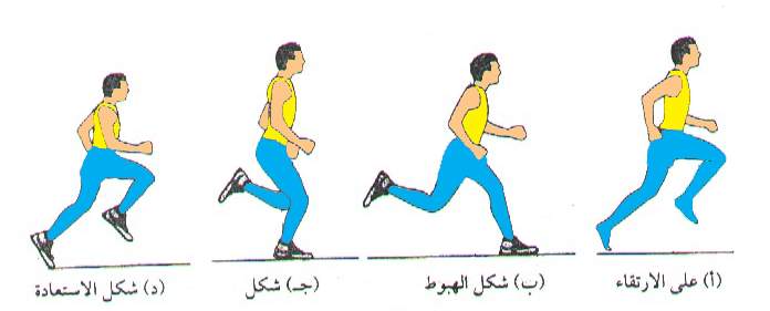 اريد تعريف الجري وفوائده