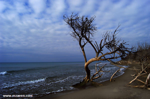 صور الطبيعة الحزينة 129846 1