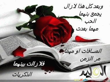 صور و كلمات في الحب 2015120563