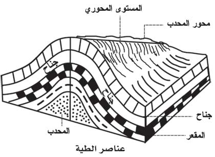 معني كلمه طيات