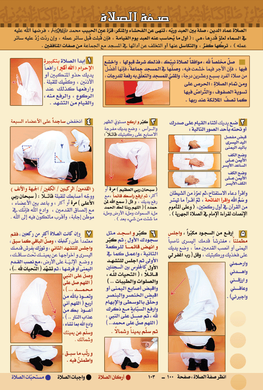 ما مفهوماا لسهو و بين كيفية ذخلوه في الصلاة 21672 2