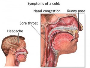 Symptoms-Of-Cold