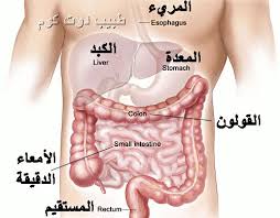 هبوط القولون 17159 2