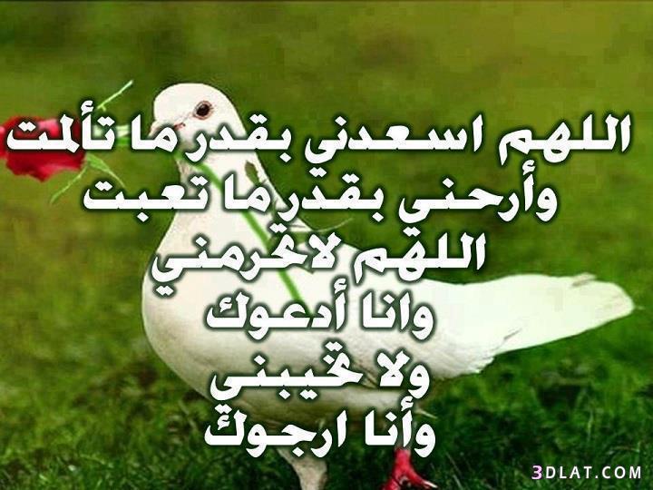 دعاء_تفريج_الهم_والضيق 885E53F7Fe24D90014Dc4D97E85Be07E