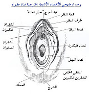 عندما تفقد البنت عذريتها 20160730 367