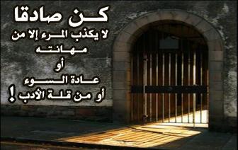 الكذب شعر