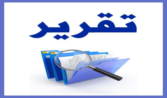 نص كتابة تقرير 24101 2