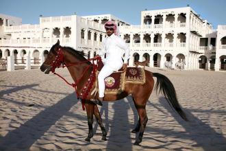 من اول ركب الخيل - اول من ركب الخيل من النبياء 20160718 1144