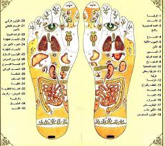 القولون والقدم - كيف يمكن علاج القولون 18187 1