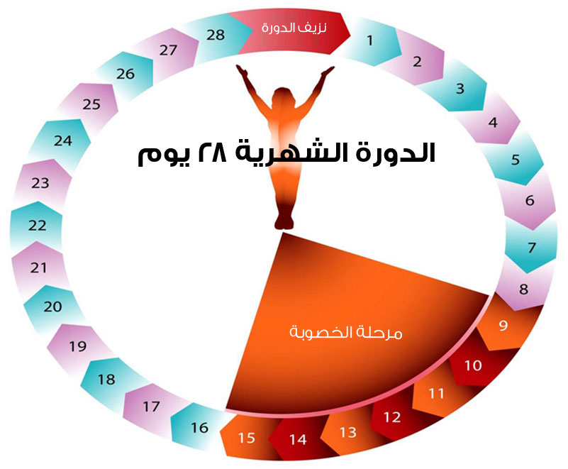 ما هو سبب تاخر الدورة الشهرية 129875 2