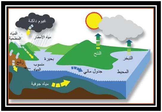 تعريف دورة الماء 19847 2