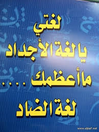 تعريف النمط في اللغة العربية 29546 2