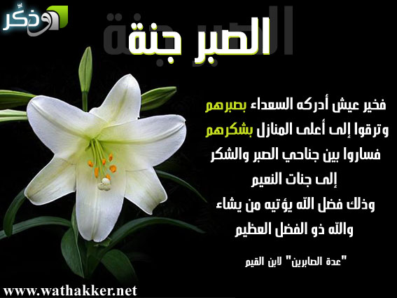 مقولات عن الصبر 36E90Ff5E9792501Ee5Ce7Ff77D7C0A6