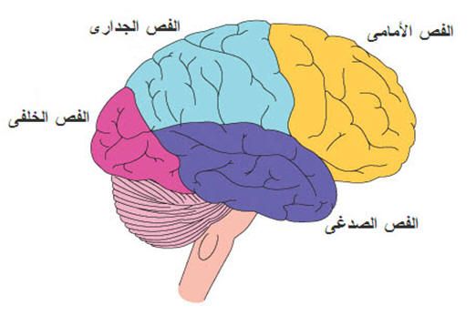 اعراض مرض الشك - الوسواس القهري 20160720 1688