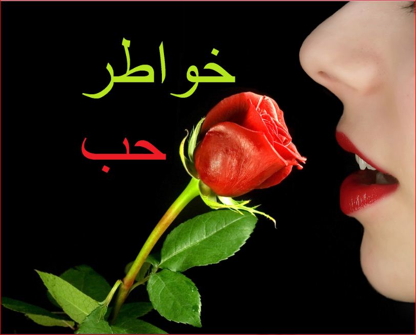 خواطر غزليه 20160802 446