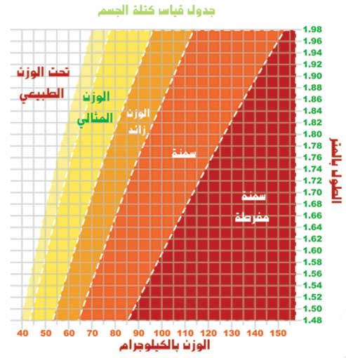 الجسم المثالي هو دة ولا بلاش - اهم قياسات الجسم المثالية 20160726 123