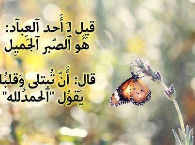 كلمات عن الصبر على الدنيا 2297464C1C2F550Cbfff1C3Bde96Dfa7-Gif