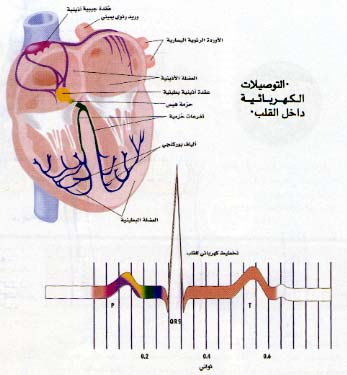 اعراض وعلامات وعلاج ضغط الدم 20160804 1843