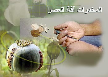 مقال اجتماعي عن المخدرات 70564 1