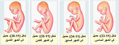 متى يكتمل الجنين في بطن امه