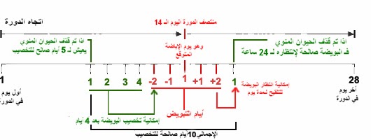 الاشياء التي توخر الدورة الشهرية 20160723 910