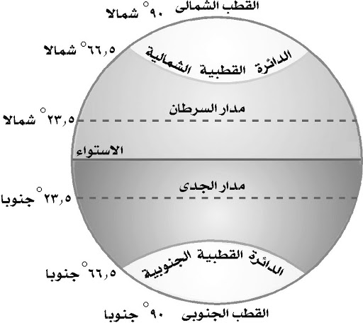 كم عدد الدوائر العرض الرئيسية