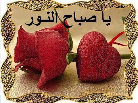 صور صباح - اجمل خلفيات صباحيه 144147 2