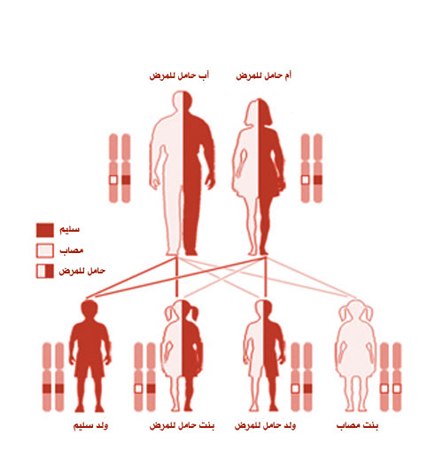 معرفة حمل مرض التلاسيميا 20160804 2328