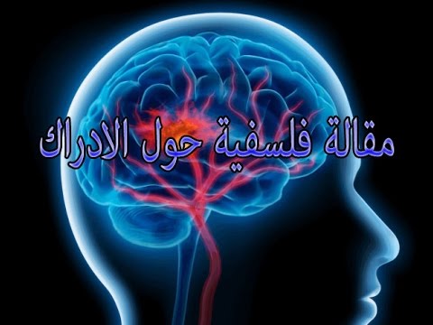 مقالة الاحساس و الادراك 125903 1