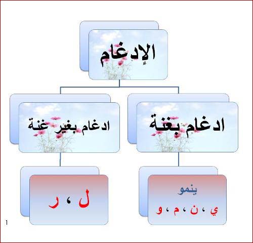 الادغام عند ابن جني 20160718 2953