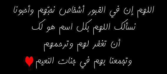 جمل دعوة للميت 20160808 1815