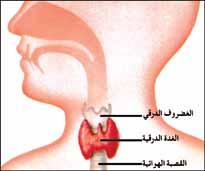 الغد درقية 20160808 1876