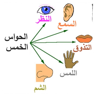 الحواس الخمسة وتفسيرها