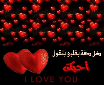 شعر حب للحبيب E8Bebccbbcae1A836E74Fe90B39Ca7B7