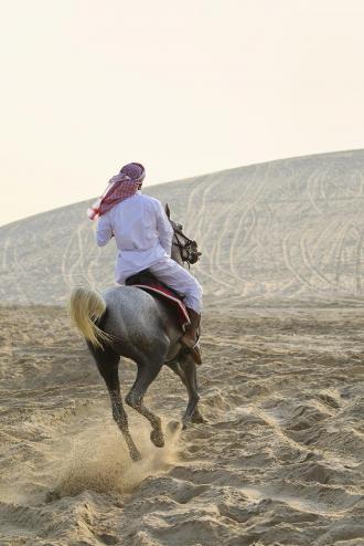 تعريف الرياضة , معلومات عن الرياضه