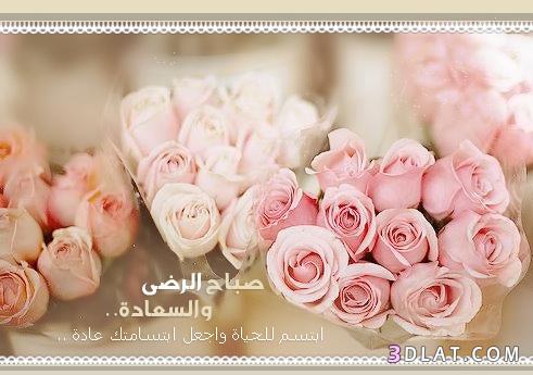 صباح الخير حبيبي - صور صباح الخير 4572