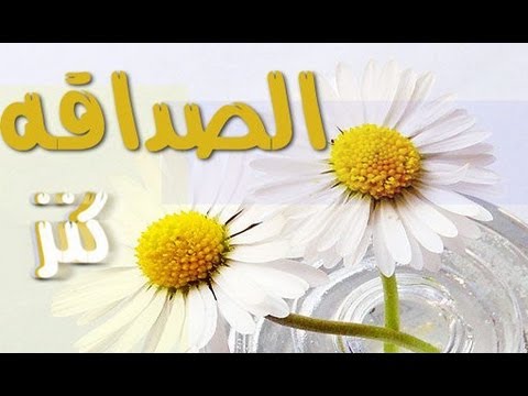 عبرة عن الصداقة 20160804 630