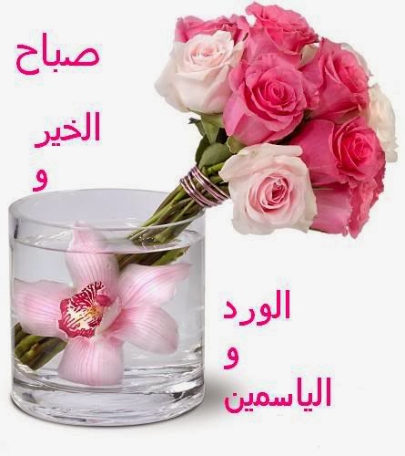 صور صباح - اجمل خلفيات صباحيه 144147 3