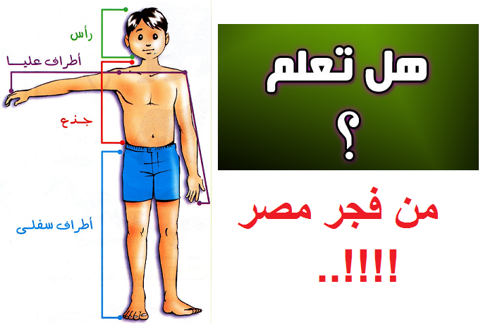 هل تعلم عن العلم 20160715 41