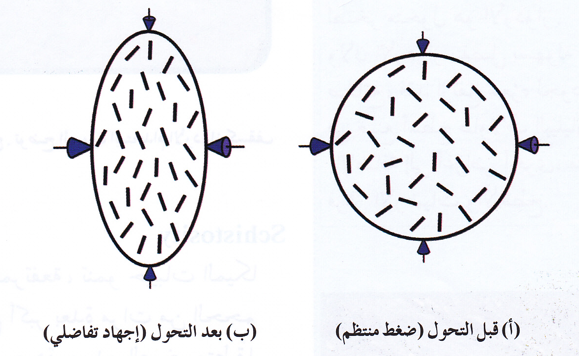 انواع تحول الصخور