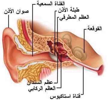 اسباب التهاب الاذن الخارجية 26651 2