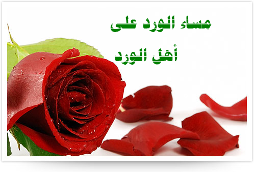 صور لمساء الخير - صور مسائيات جديدة 4367