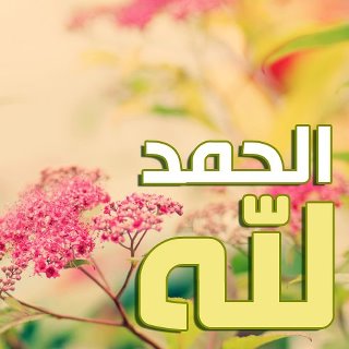 الحمد لله على كل حال