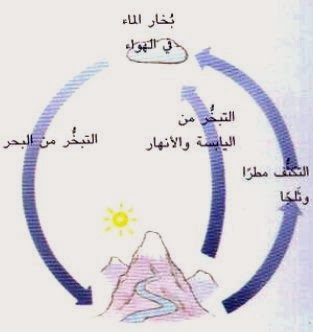 تعريف ماء يودي 20160722 477