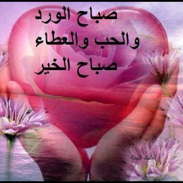 صوره صباح الخير 20160803 1076